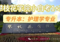 【四川职英教育】攀枝花学院小自考1+X本科【护理学】招生简章—统考少·好毕业·四川唯一最简单的护理学专业自考