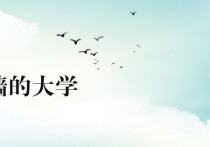 高等教育自学考试（自考）介绍