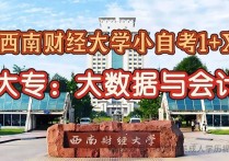 【四川职英教育】西南财经大学最简单小自考1+X大专·专科【大数据与会计】招生报名简章—211双一流·统考少·毕业稳妥