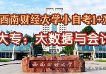 【四川职英教育】"西南财经大学"小自考专科1+X【大数据与会计】2026年招生报名简章—统考科目少·证书替考·考试拿证简单