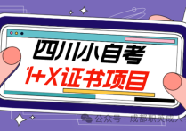 【四川职英教育】四川最简单的小自考1+X汇总—自考捷径/仅统考4科/统考少·毕业稳妥